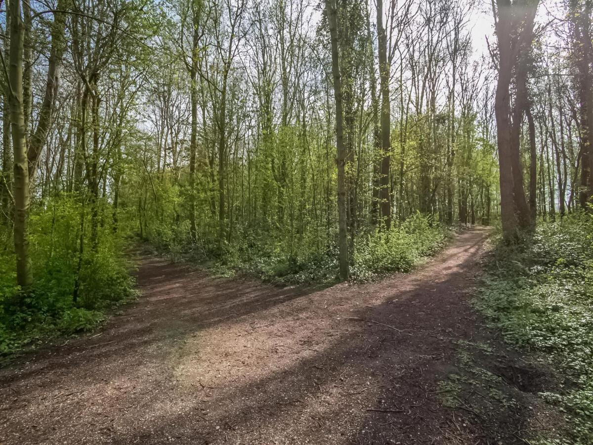 Holiday Home In Noordwijkerhout With Terrace Close To A Lake ภายนอก รูปภาพ